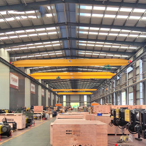 LD Model Single Girder Bridge Crane